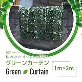 グリーンフェンス 日よけ グリーンカーテン 目隠し 100cm×200cm D