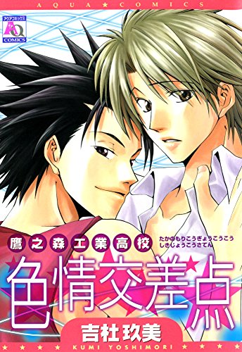 鷹之森工業高校色情交