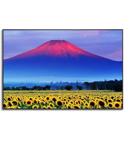 Amazon.co.jp: 絵画 現代日本画 山水画 富士山 赤富士飛翔 伊藤渓山 額