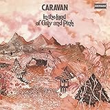 In the Land of Grey & Pink [Analog]