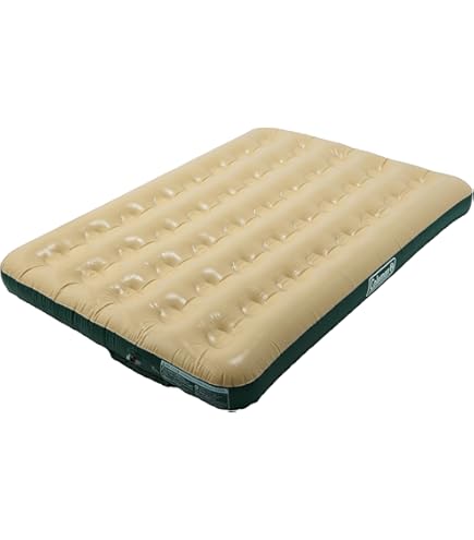 Amazon.co.jp: コールマン デュアルアクションクイックポンプ 170-6829