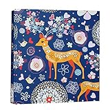 記念本- フォトアルバムボックス入りインサートバッグ大容量アルバムファミリーベビーグロス記念の贈り物620 7インチ写真で5インチと6インチ