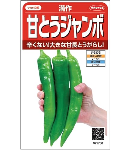 Amazon.co.jp: 辛 とうがらし 種子 牛角大王 20粒 トウガラシ （中国大