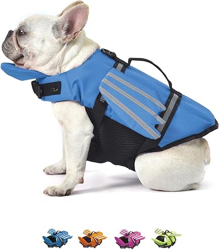 Amazon | EZYDOG(イージードッグ) [正規代理店品] DFD