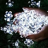 meikeeストリングライト ソーラー妖精ストリングライト フェアリーライト LED50個付き 7メートル 環境の光センサー 防水IP55 クリスマスや庭や結婚式やパーティー用 (昼白い)
