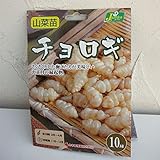野菜球根パック：チョロギ10球入り 2袋セット[サクサクの歯ごたえ！お正月の縁起物]