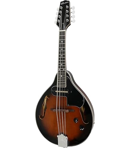 Amazon | Epiphone MM-30S Mandolin Antique Sunburst マンドリン