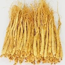 最高級野山参(オタネニンジン) 会津人参 純正粉末 70g