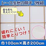 メール便送料無料 レース障子 昼も夜も見えにくいタイプ 100×200cm ２枚組