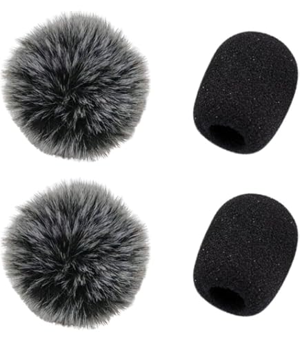 Amazon.co.jp: SONY AD-R77B6 メタルウィンドスクリーン : 楽器・音響機器