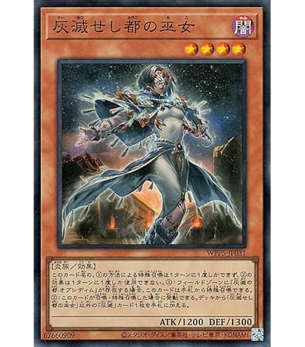 Amazon.co.jp: 遊戯王カード 聖域に仕えし練達の魔導師(エクストラ 