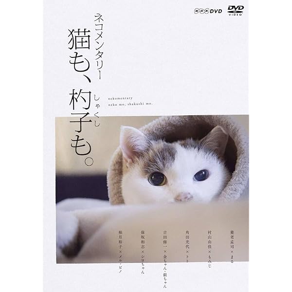 Amazon.co.jp: ネコメンタリー 猫も、杓子も。 [DVD] : 養老孟司, 松坂