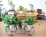 フラワーラック、鉄ヨーロッパスタイルの屋内バルコニーフロアスタイル自転車タイプ6ポットフラワーシェルフフラワーポットラック79 * 25 * 67CM ( 色 : ブラック )