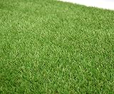 天然芝にそっくり!リアル人工芝(高麗芝)35mm 幅1m×長さ5m GTF-3505