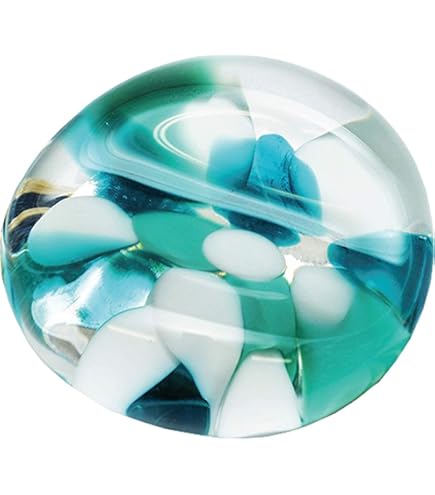 ご予約済　アバロンシェルの丸帯留め Amazon.co.jp: 帯留め シェル 熱帯魚 魚 和装小物 帯留 帯飾り