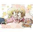 ひだまりスケッチ×ハニカム 1(完全生産限定版) [Blu-ray]