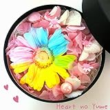 ダイヤモンドレインボーガーベラ　プリザーブドフラワーボックスギフト　誕生日 母の日 　結婚記念日　結婚祝い　卒業祝い　出産祝い　プレゼント