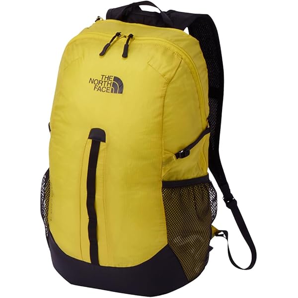 Amazon | [ザノースフェイス] デイパック Glam Daypack グラム