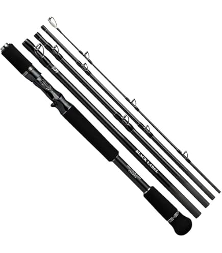 Amazon | ダイワ(DAIWA) シーバスロッド モアザンモバイル 100ML/MS-5 