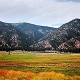 �e�B���E�J�[