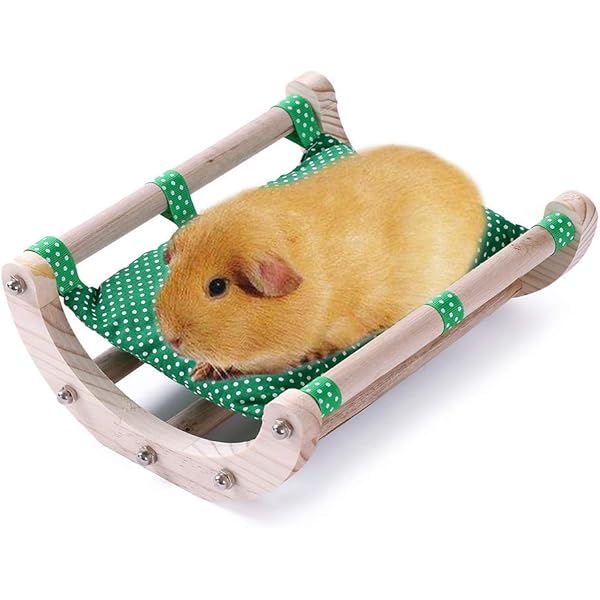 guinea pig hammock amazon