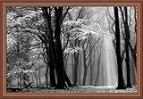 Winter Is Coming Lars Van de Goorブラックホワイト写真入りアートプリント壁装飾画像 GOG-GOGY14622-WO-36x24