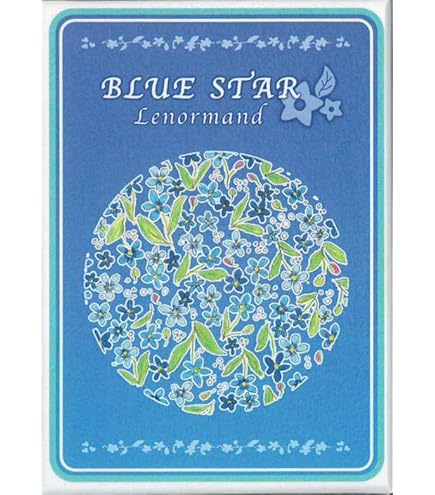 Amazon.co.jp: メディスンカード/Medicine Cards 全52枚セット揃い