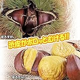 国華園　果樹苗　クリ　ポロッとすけたんセット　2種2株【※発送が国華園からの場合のみ正規品です】