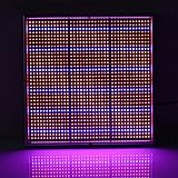 100 W 1131 赤 234 青の LED ライトの成長の植物成長灯ガーデン温室植物の苗を灯