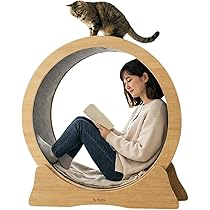 Amazon.co.jp: [Rocotto] キャットホイール 木製 静音 ストッパー付き
