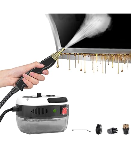 Amazon | QuiExact スチームクリーナー 高温 高圧 蒸気洗浄機 2500W