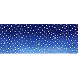 戸田屋商店 梨園染 手ぬぐい(98×37cm) 星空 229 日本製 てぬぐい 春 夏 秋 冬