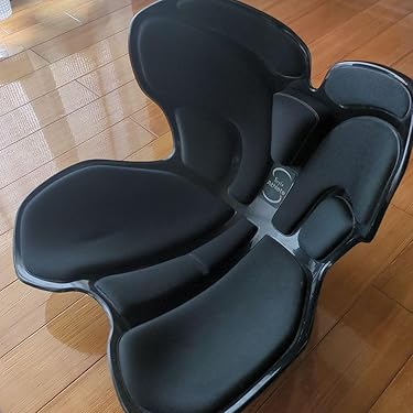 Amazon.co.jp 最新リリース: 脊椎背面プロテクター の新着