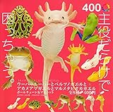 ネイチャーテクニカラーMONO PLUS ウーパールーパーとベルツノガエルと<br>アカメアマガエルとマルメタピオカガエル ボールチェーン＆マグネット ベルツノガエルなし全7種セット ガチャガチャ