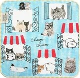 シンジカトウ シャトン タオルチーフ アパートメント SKTC127-11