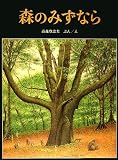 森のみずなら (福音館の単行本)