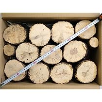 Amazon | 産卵木 Lサイズ クヌギ材 11～12本セット｜クワガタ