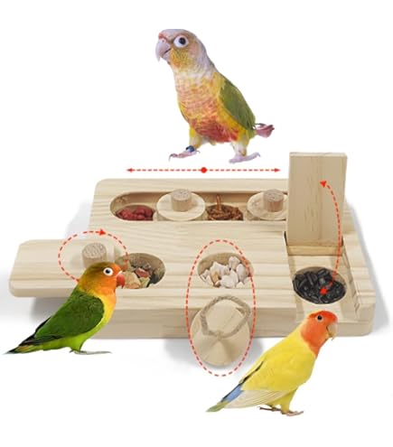 Amazon | Jevnd フォージングトイ 鳥 インコ おもちゃ 知育玩具