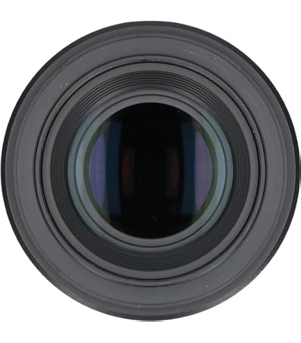 Amazon.co.jp: Nikon 単焦点マイクロレンズ AF-S Micro 60mm f Amazon.co.jp: Nikon 単焦点マイクロレンズ AF-S Micro 60mm f