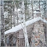 SCARS OF MAN ON THE ON