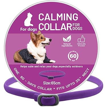 Amazon.co.jp 最新リリース: 犬用首輪・ハーネス・リード の新着