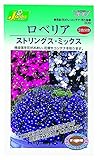 カネコ種苗 草花タネ色別分包306 ロベリア ストリング・ミックス 10袋セット