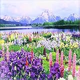 フローレン花ワイオミング – Wildflowers – タイル 8" ct_53318_7