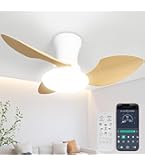 Amazon.co.jp : SUKITEN シーリングファンライト led 52W ファン