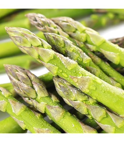Amazon.co.jp: 冷凍 ホワイト アスパラ 1kg ( 26-35本 ) 業務用