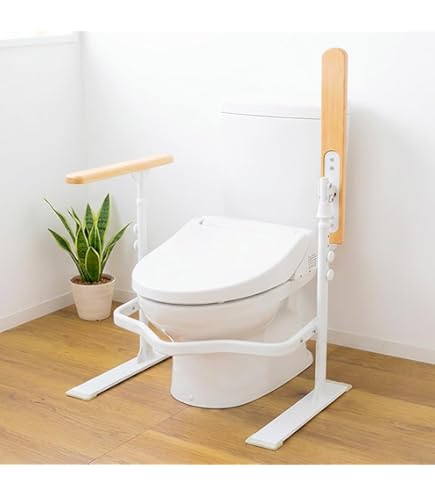 Amazon.co.jp: TOTO トイレ用手すり(本体+アシストタイプ) EWC221