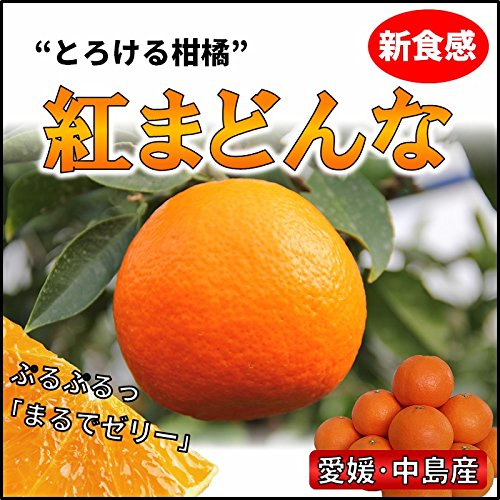 高級みかん 紅マドンナ 道後温泉だけじゃない 愛媛松山観光１泊２日モデルコースまとめ Naver まとめ