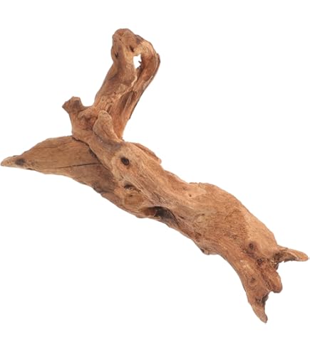 Amazon.co.jp: クワリウム 登り木 エサ台 シェルター : ペット用品