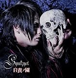 ���Ӄm��(TYPE-C)