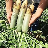 100PCS緑の甘い大根の種子有機野菜と果物の種子おいしい家庭盆栽植物健康的な高速成長